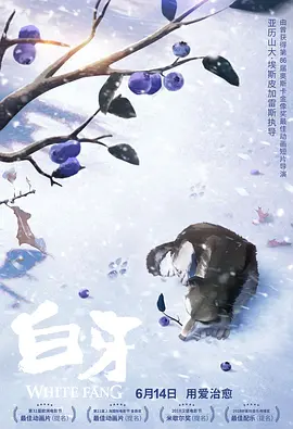 女海盗1080p